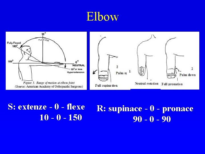 Elbow S: extenze - 0 - flexe 10 - 150 R: supinace - 0