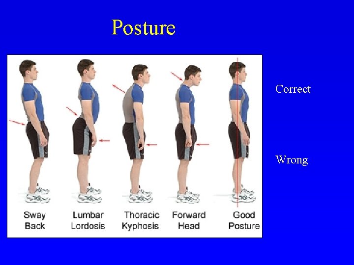 Posture Correct Wrong 