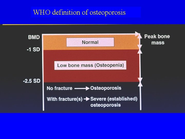 WHO definition of osteoporosis 