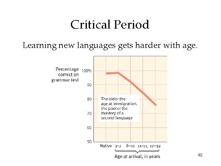 Critical Period Learning new languages gets harder with age. 40 