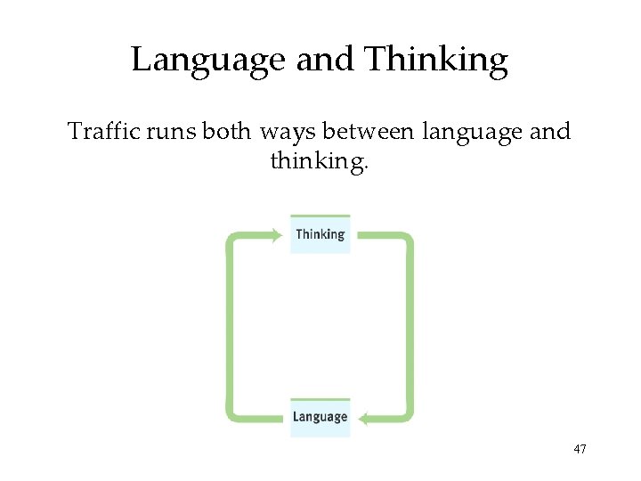 Language and Thinking Traffic runs both ways between language and thinking. 47 