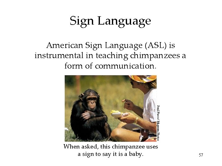 Sign Language American Sign Language (ASL) is instrumental in teaching chimpanzees a form of