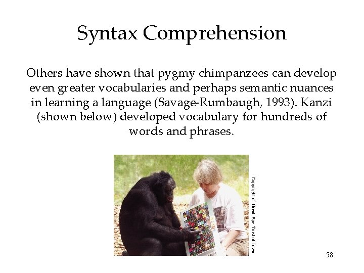 Syntax Comprehension Others have shown that pygmy chimpanzees can develop even greater vocabularies and