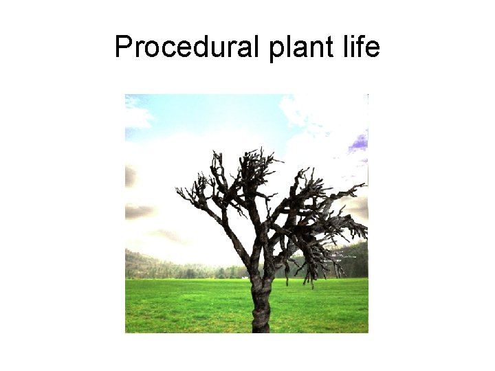 Procedural plant life 
