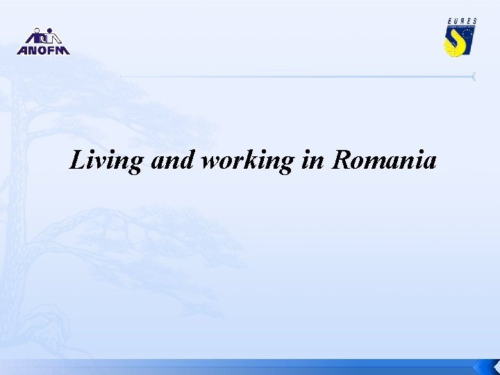 Living and working in Romania 