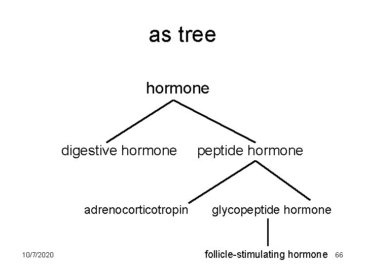 as tree hormone digestive hormone peptide hormone adrenocorticotropin glycopeptide hormone 10/7/2020 follicle-stimulating hormone 66