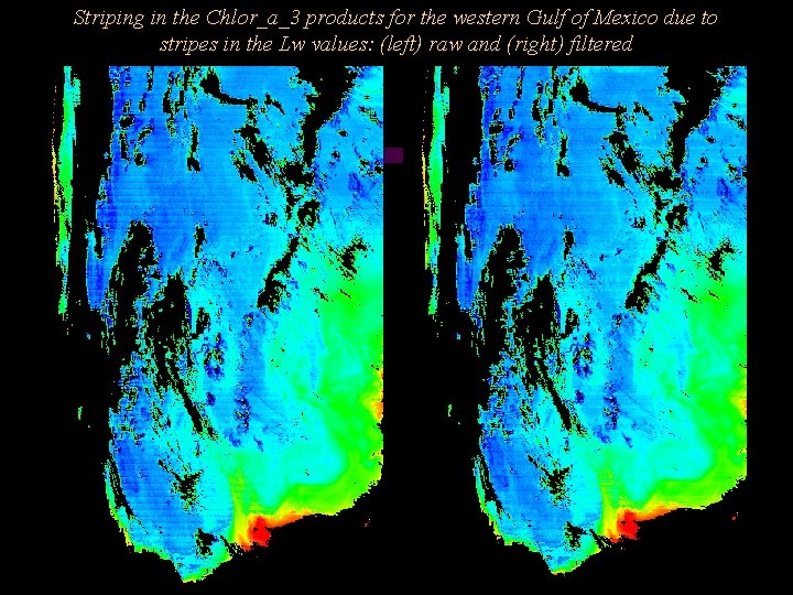 Striping in the Chlor_a_3 products for the western Gulf of Mexico due to stripes