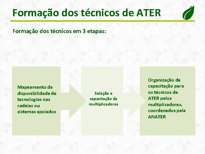 Formação dos técnicos de ATER Formação dos técnicos em 3 etapas: Mapeamento da disponibilidade