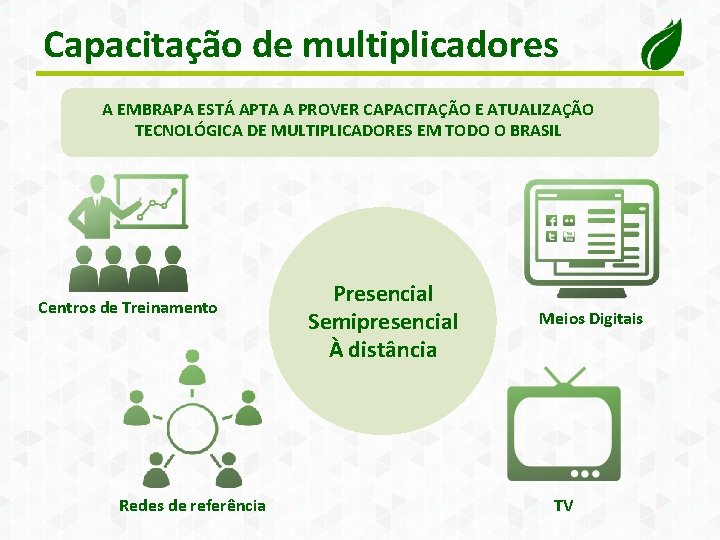 Capacitação de multiplicadores A EMBRAPA ESTÁ APTA A PROVER CAPACITAÇÃO E ATUALIZAÇÃO TECNOLÓGICA DE