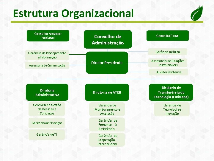 Estrutura Organizacional Conselho Assessor Nacional Conselho de Administração Gerência Jurídica Gerência de Planejamento e