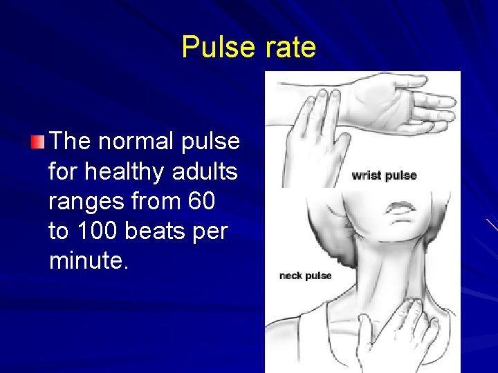 Pulse rate The normal pulse for healthy adults ranges from 60 to 100 beats