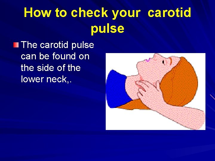 How to check your carotid pulse The carotid pulse can be found on the