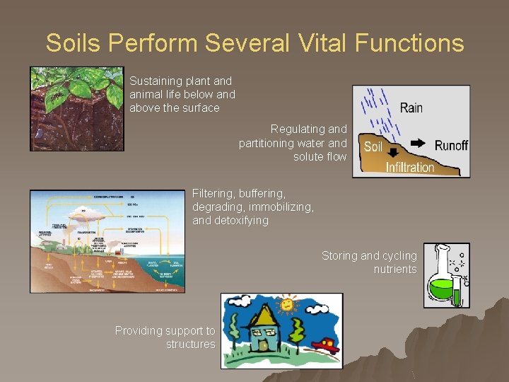 Soils Perform Several Vital Functions Sustaining plant and animal life below and above the