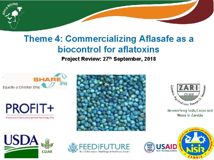 Theme 4: Commercializing Aflasafe as a biocontrol for aflatoxins Project Review: 27 th September,