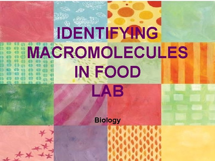 IDENTIFYING MACROMOLECULES IN FOOD LAB Biology 