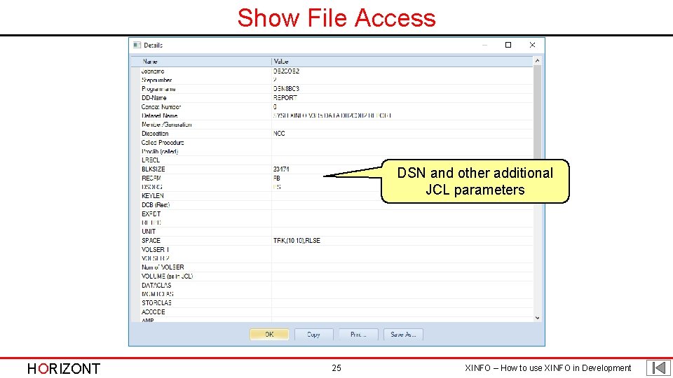 Show File Access DSN and other additional JCL parameters HORIZONT 25 XINFO – How