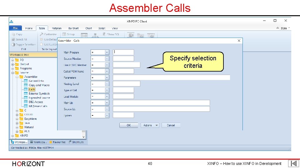 Assembler Calls Specify selection criteria HORIZONT 40 XINFO – How to use XINFO in