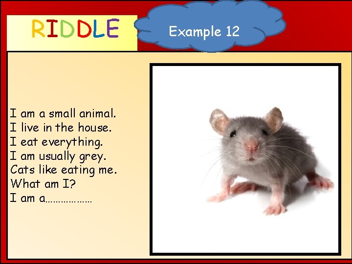 RIDDLE WHAT AM I ? I am a small animal. I live in the