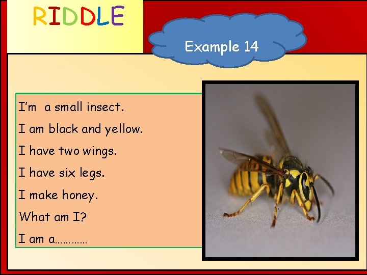 RIDDLE Example 14 WHAT AM I ? I’m a small insect. I am black