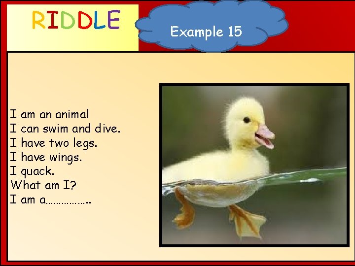 RIDDLE WHAT AM I ? I am an animal I can swim and dive.