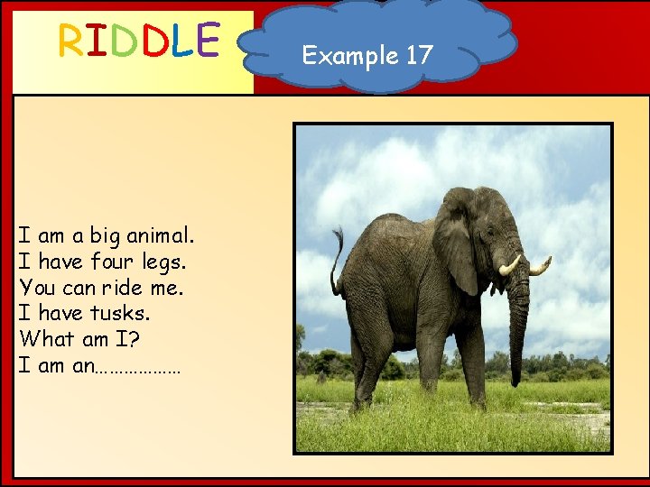 RIDDLE WHAT AM I ? I am a big animal. I have four legs.