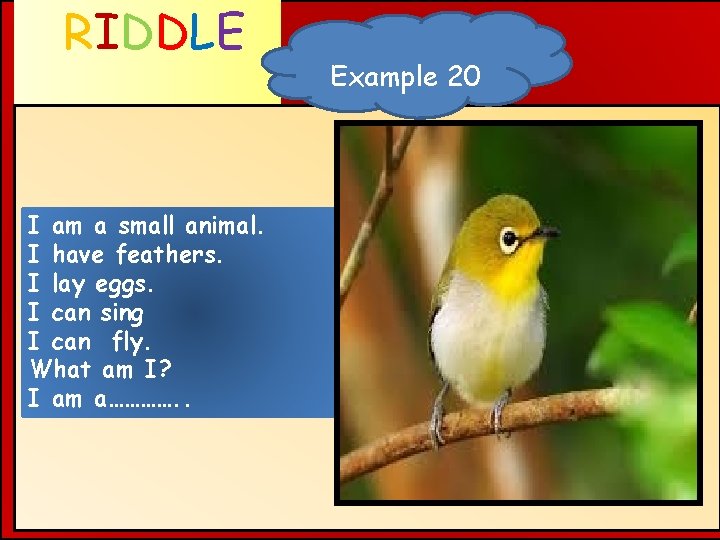 RIDDLE WHAT AM I ? I am a small animal. I have feathers. I