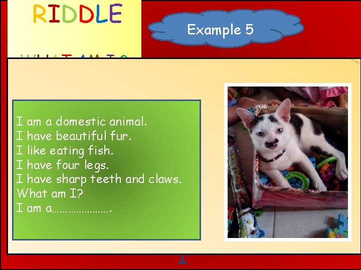 RIDDLE Example 5 WHAT AM I ? I am a domestic animal. I have
