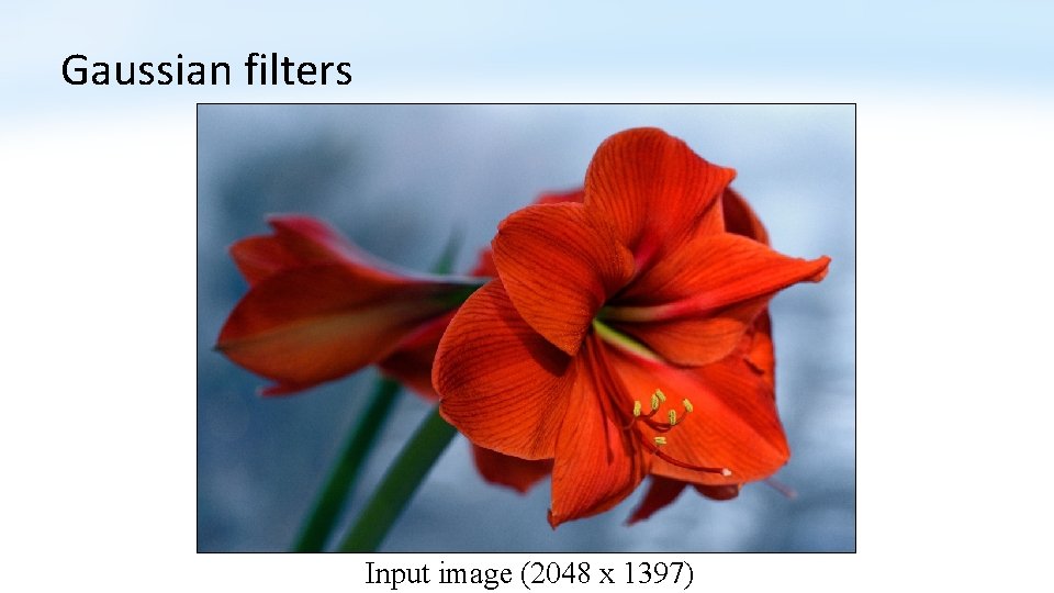 Gaussian filters Input image (2048 x 1397) 