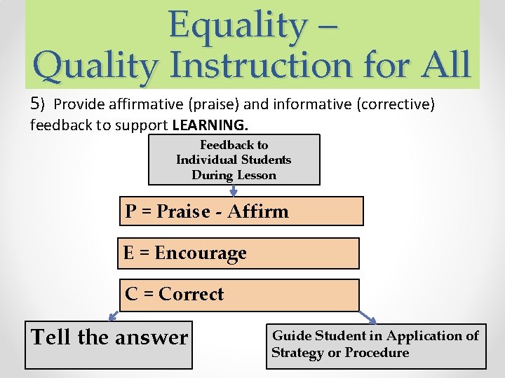Equality – Quality Instruction for All 5) Provide affirmative (praise) and informative (corrective) feedback Equality – Quality Instruction for All 5) Provide affirmative (praise) and informative (corrective) feedback