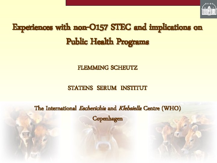 Experiences with non-O 157 STEC and implications on Public Health Programs FLEMMING SCHEUTZ STATENS