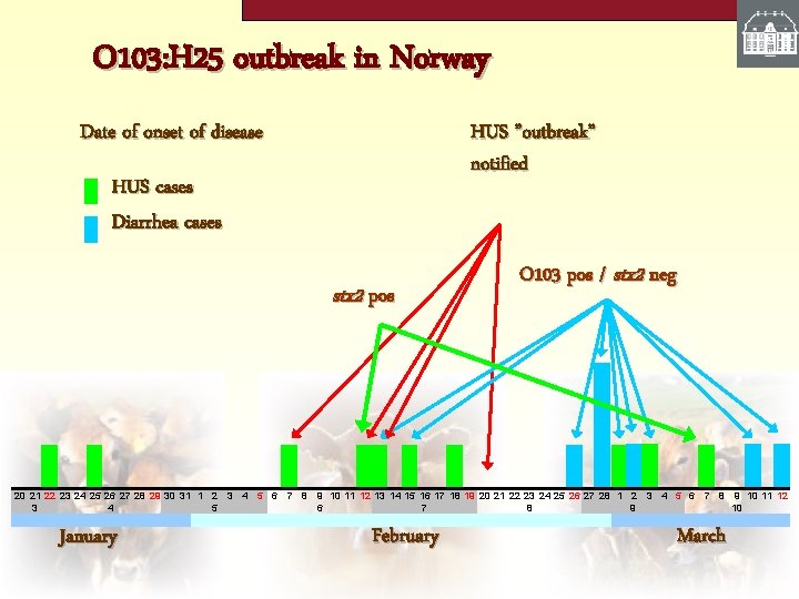O 103: H 25 outbreak in Norway Date of onset of disease HUS ”outbreak”