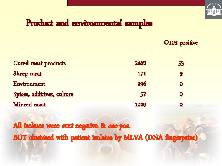 Product and environmental samples O 103 positive Cured meat products Sheep meat Environment Spices,