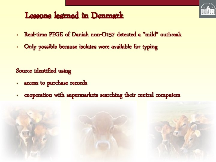 Lessons learned in Denmark • • Real-time PFGE of Danish non-O 157 detected a