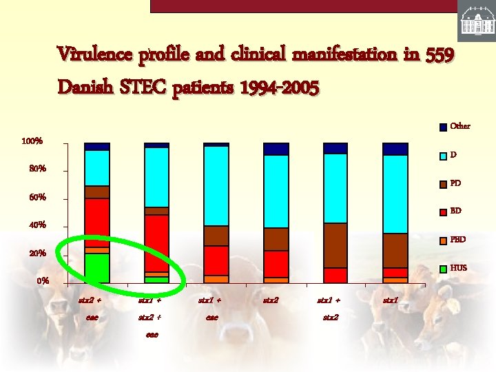 Virulence profile and clinical manifestation in 559 Danish STEC patients 1994 -2005 Other 100%
