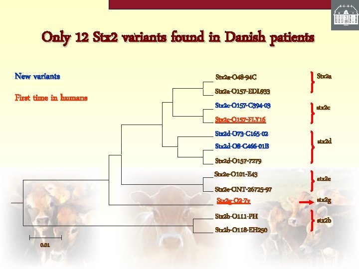 Only 12 Stx 2 variants found in Danish patients New variants First time in