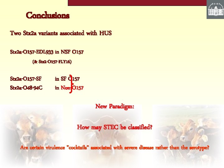 Conclusions Two Stx 2 a variants associated with HUS Stx 2 a-O 157 -EDL