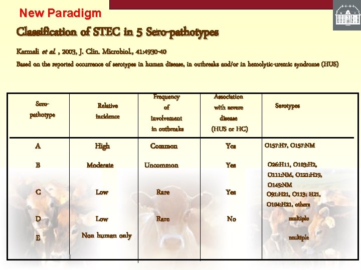 New Paradigm Classification of STEC in 5 Sero-pathotypes Karmali et al. , 2003, J.