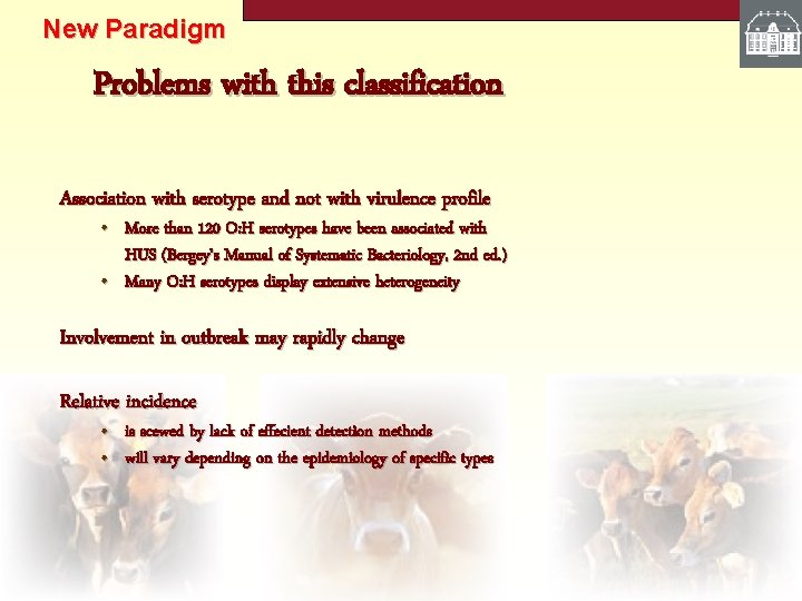 New Paradigm Problems with this classification Association with serotype and not with virulence profile