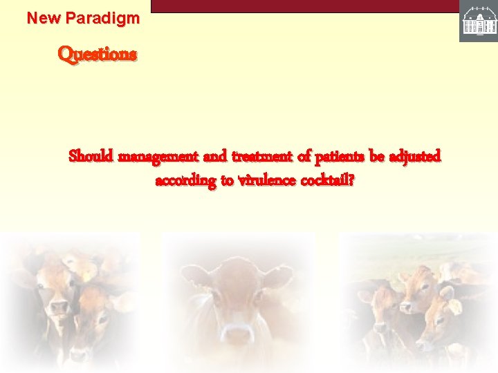 New Paradigm Questions Should management and treatment of patients be adjusted according to virulence