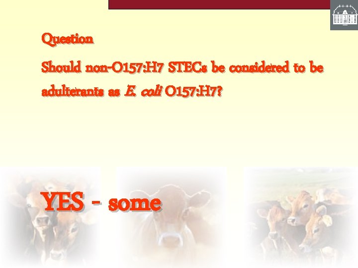 Question Should non-O 157: H 7 STECs be considered to be adulterants as E.