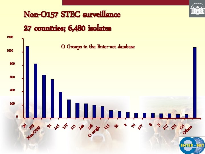 Non-O 157 STEC surveillance 27 countries; 6, 480 isolates 1200 O Groups in the
