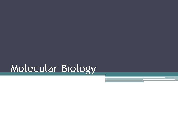 Molecular Biology 