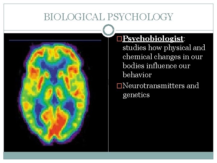 BIOLOGICAL PSYCHOLOGY �Psychobiologist: studies how physical and chemical changes in our bodies influence our