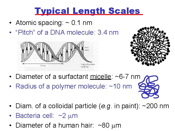 Typical Length Scales • Atomic spacing: ~ 0. 1 nm • “Pitch” of a