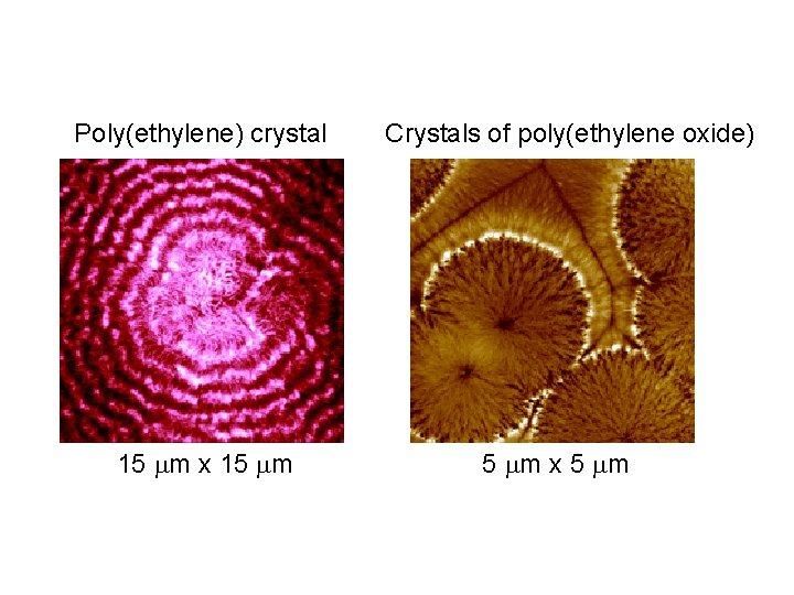 Poly(ethylene) crystal 15 mm x 15 mm Crystals of poly(ethylene oxide) 5 mm x