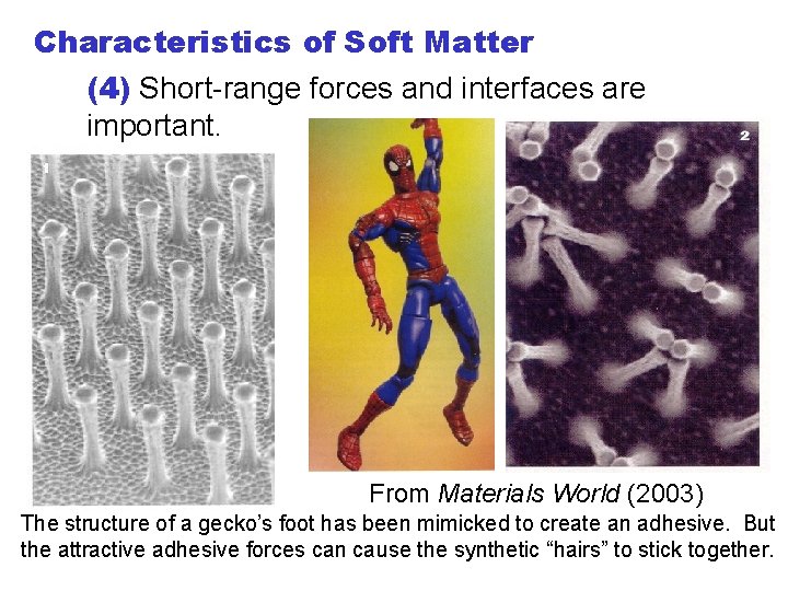 Characteristics of Soft Matter (4) Short-range forces and interfaces are important. From Materials World