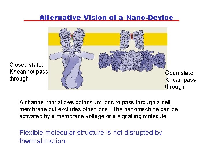 Alternative Vision of a Nano-Device Closed state: K+ cannot pass through Open state: K+