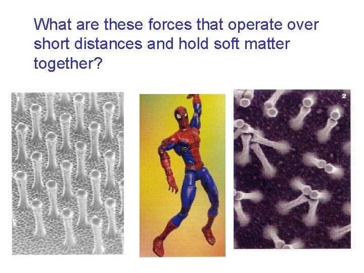 What are these forces that operate over short distances and hold soft matter together?