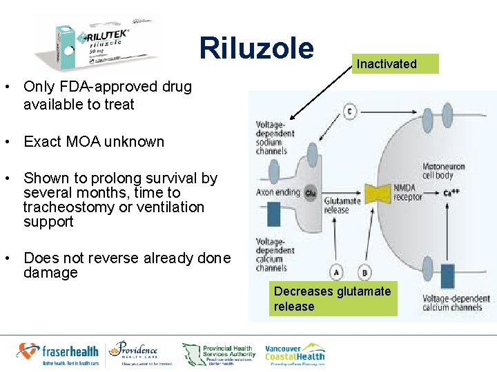 Riluzole Inactivated • Only FDA-approved drug available to treat • Exact MOA unknown •