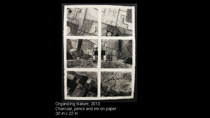 Organizing Nature, 2013 Charcoal, pencil and ink on paper 30 in x 22 in